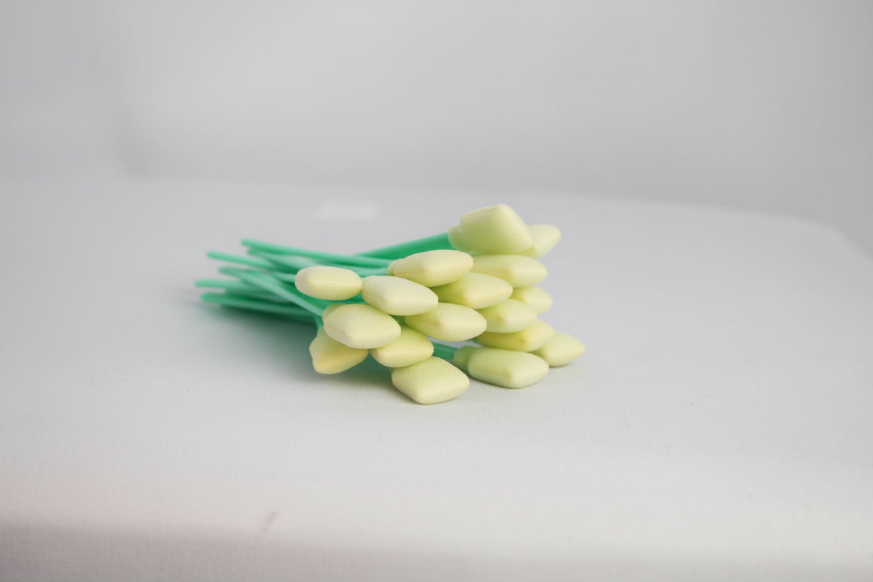 Cleaning Sponge